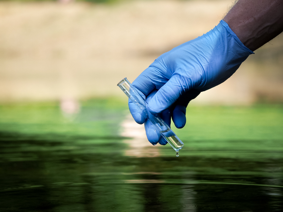 Pourquoi sommes-nous majoritairement constitués d'eau ?