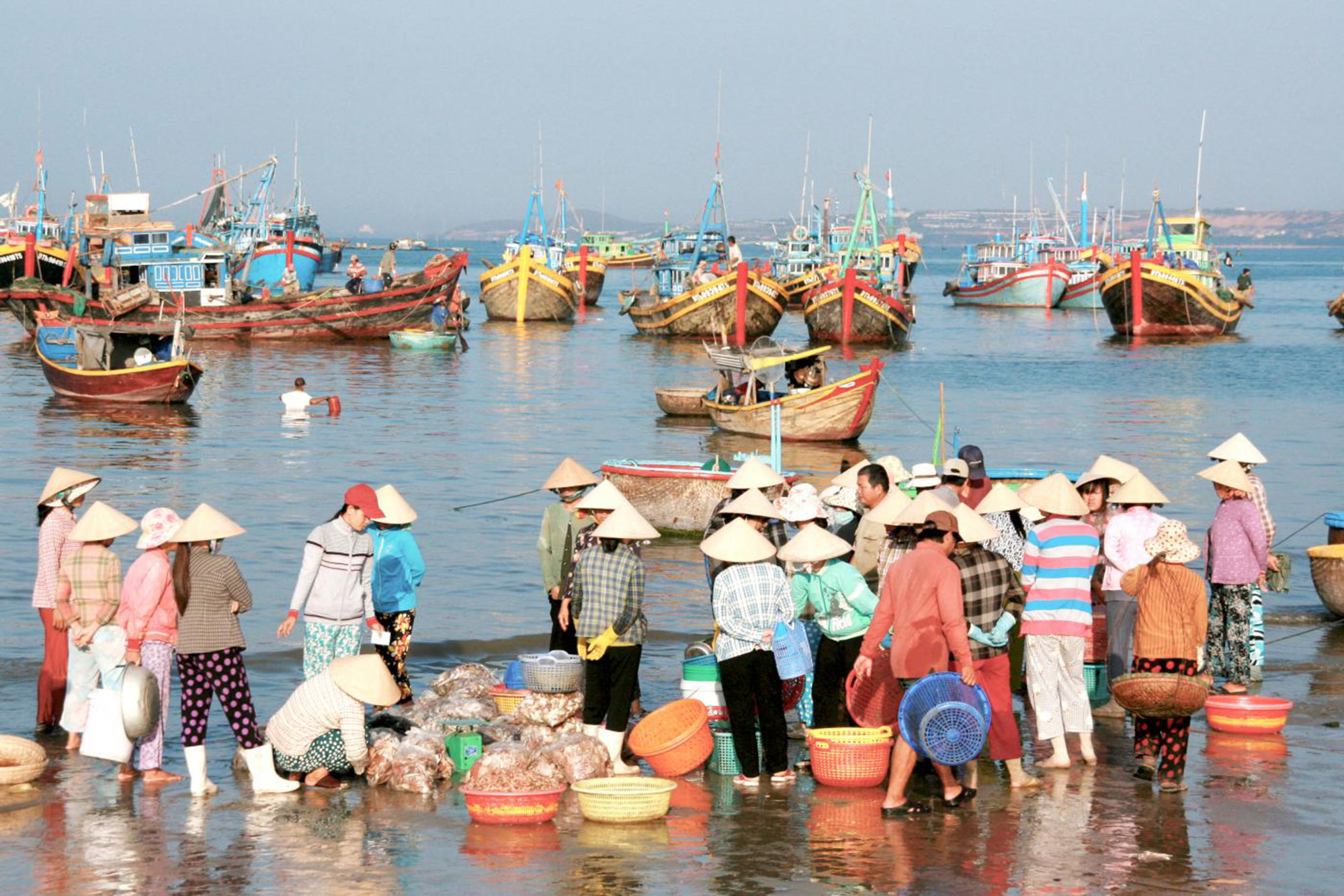 vaccin obligatoire voyage vietnam