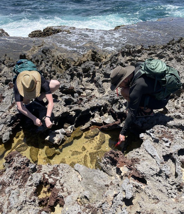 Núria Ros-Rocher et Josean Reyes-Rivera effectuant des prélèvements sur l’un des lieux de vie de C. flexa Núria Ros-Rocher et Josean Reyes-Rivera effectuant des prélèvements sur l’un des lieux de vie de C. flexa