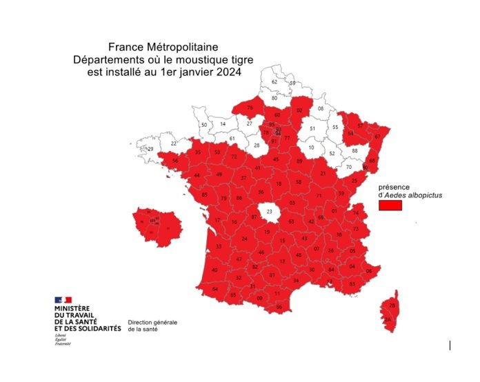 Institut Pasteur Moustique tigre decembre 2023