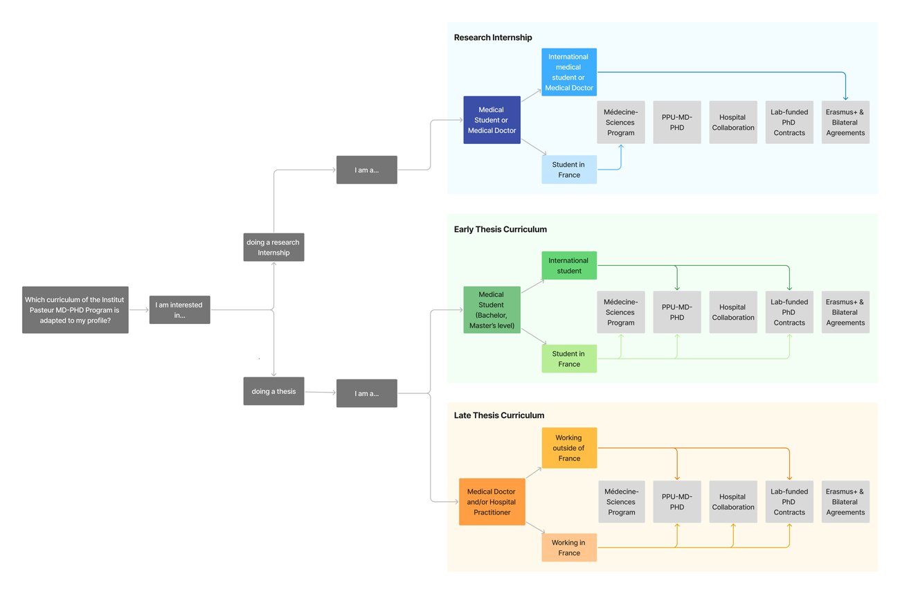 schema MD-PhD english