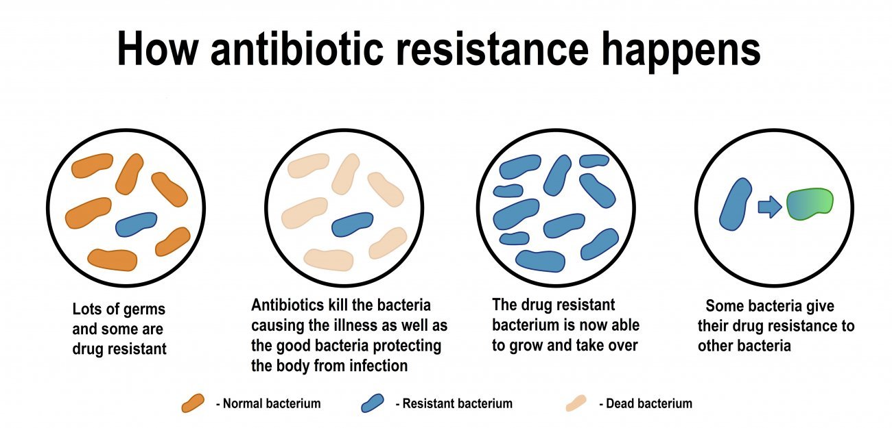 Antibiotic Resistance, Or How Bacteria Become Resistant | Institut Pasteur