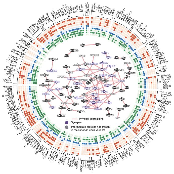 Autism – Following The Genetic Lead