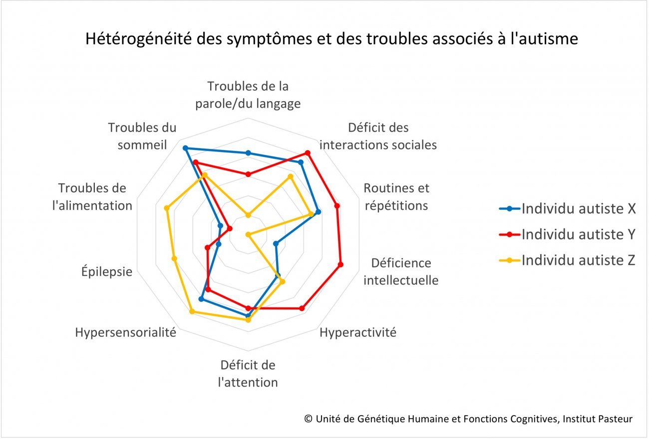 Trouble du spectre de l'autisme (TSA) : facteurs de risque, diagnostic et  traitement