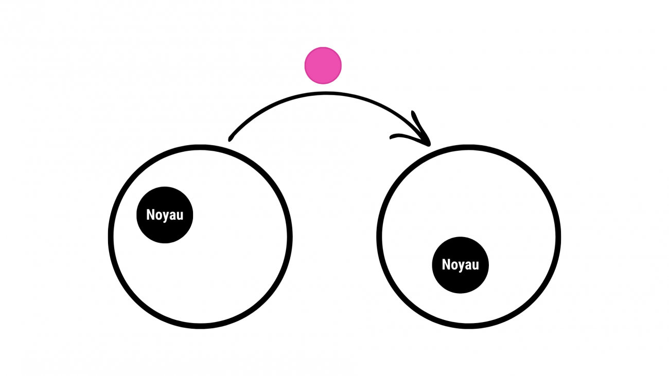 Nanotubes - TNT - Institut Pasteur Nanotubes - TNT - Institut Pasteur
