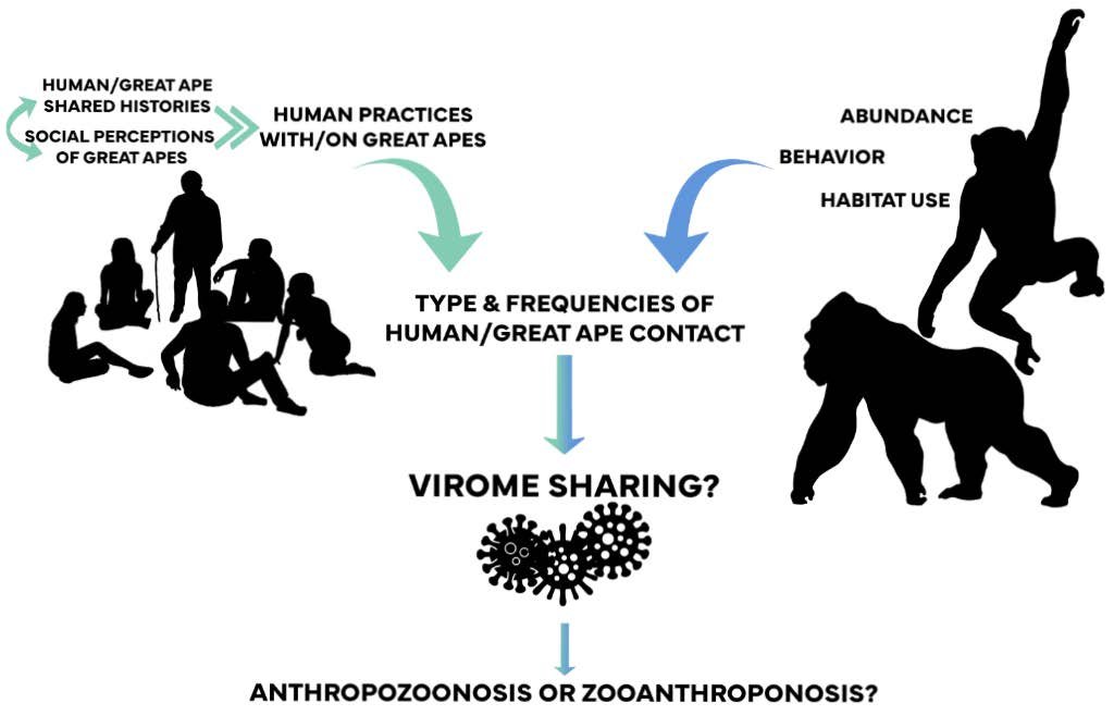 Figure partage viral © M.Vernick / AdobeStock