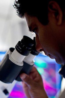 © Thomas Lang Chercheur au microscope