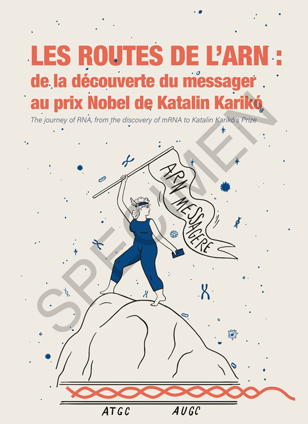 Les routes de l'ARN : De la découverte du messager au prix Nobel de Katalin Karikó 