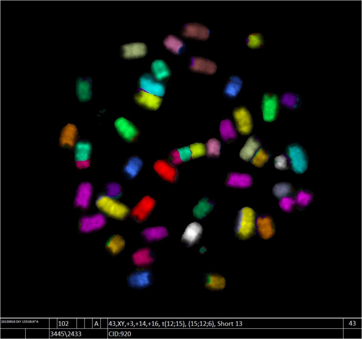 A new method for producing DNA-based therapeutics