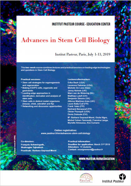 Advances In Stem Cell Biology Institut Pasteur - 