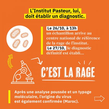 Diagnostic établi : c'est la rage